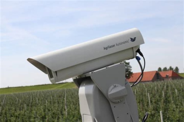 Do lasers deter birds