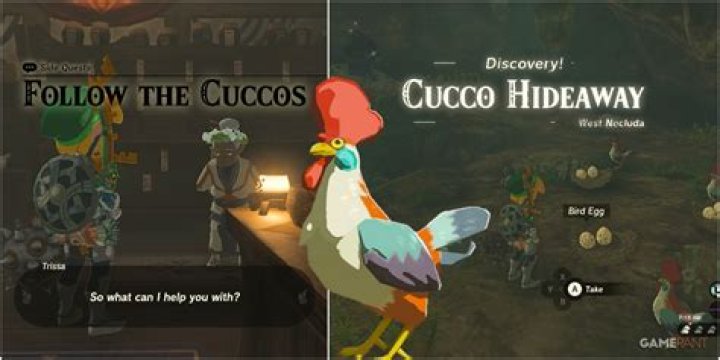 Do they sell eggs at Target