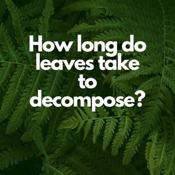 Do weeds decompose