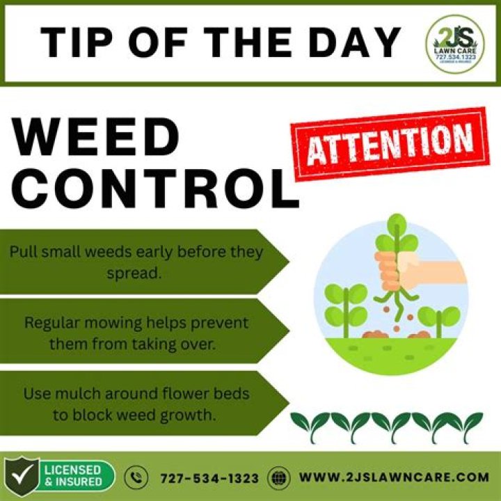 Do Weeds steal nutrients