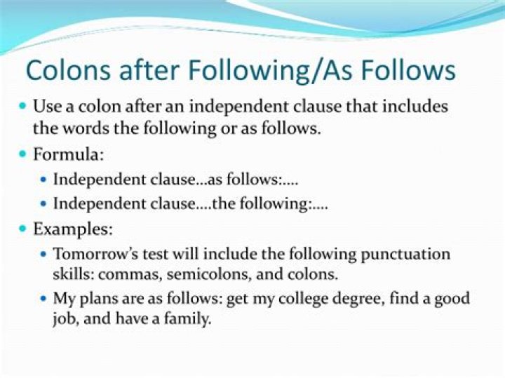 Do you use a colon after as follows
