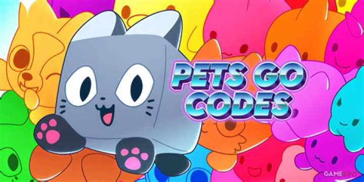 Do Z codes go first
