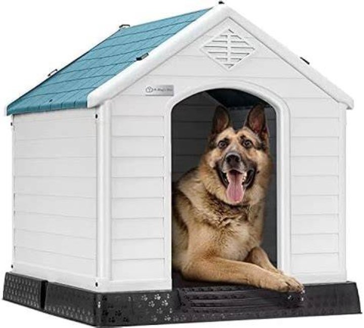Does a dog house need to be insulated