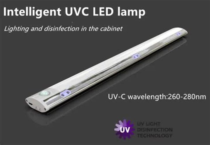Does a UV light kill algae