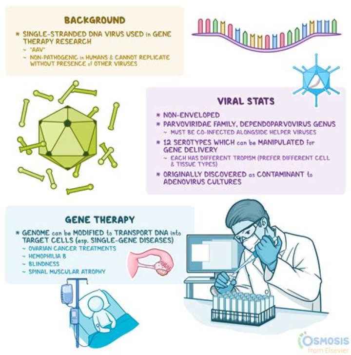 Does adenovirus require isolation
