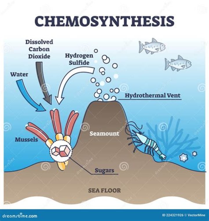 Does chemosynthesis produce oxygen
