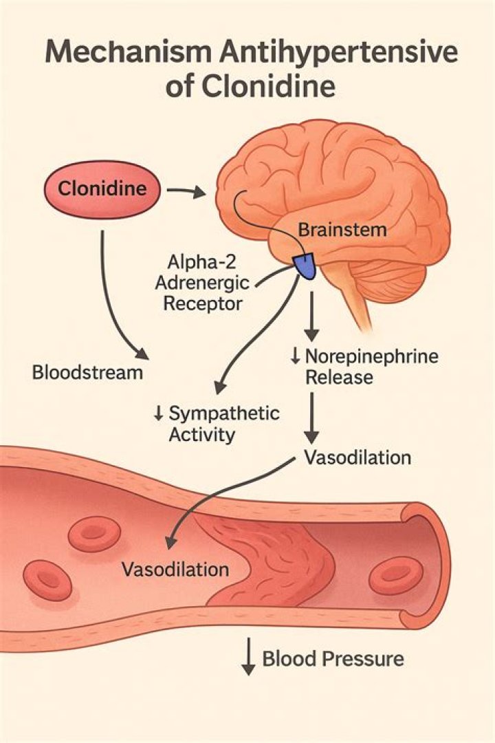 Does Clonidine have a diuretic effect