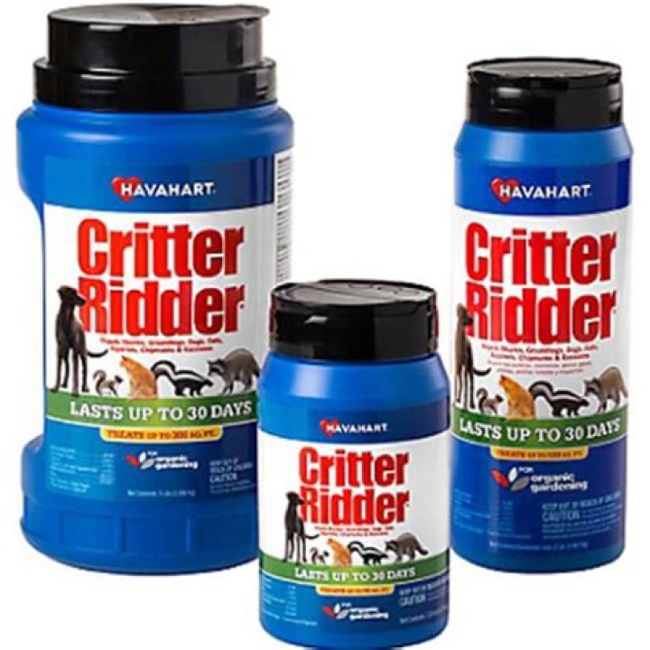 Does Critter Ridder work on voles