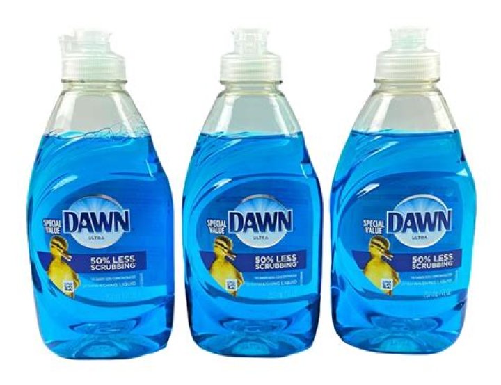 Does Dawn dish soap get rid of mold