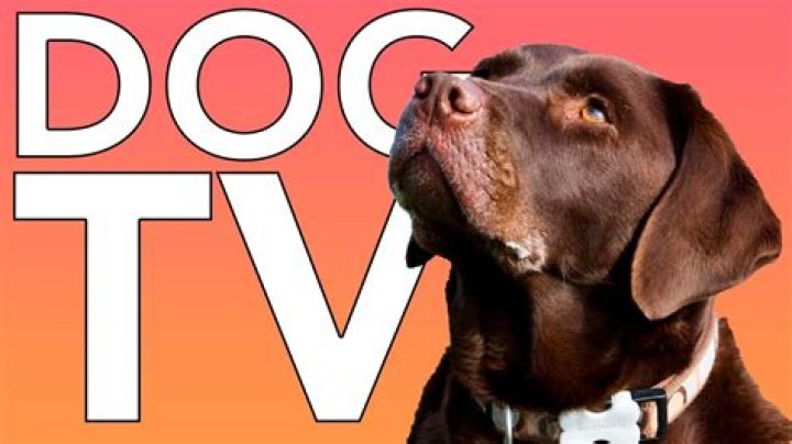 Does Dish Network have a channel for dogs