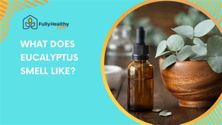 Does eucalyptus smell strong