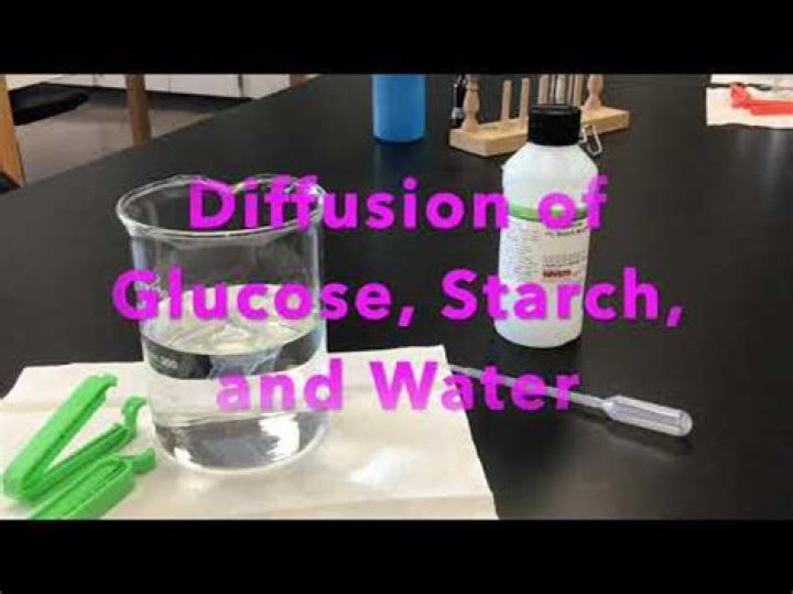 Does glucose or starch diffuse through dialysis tubing