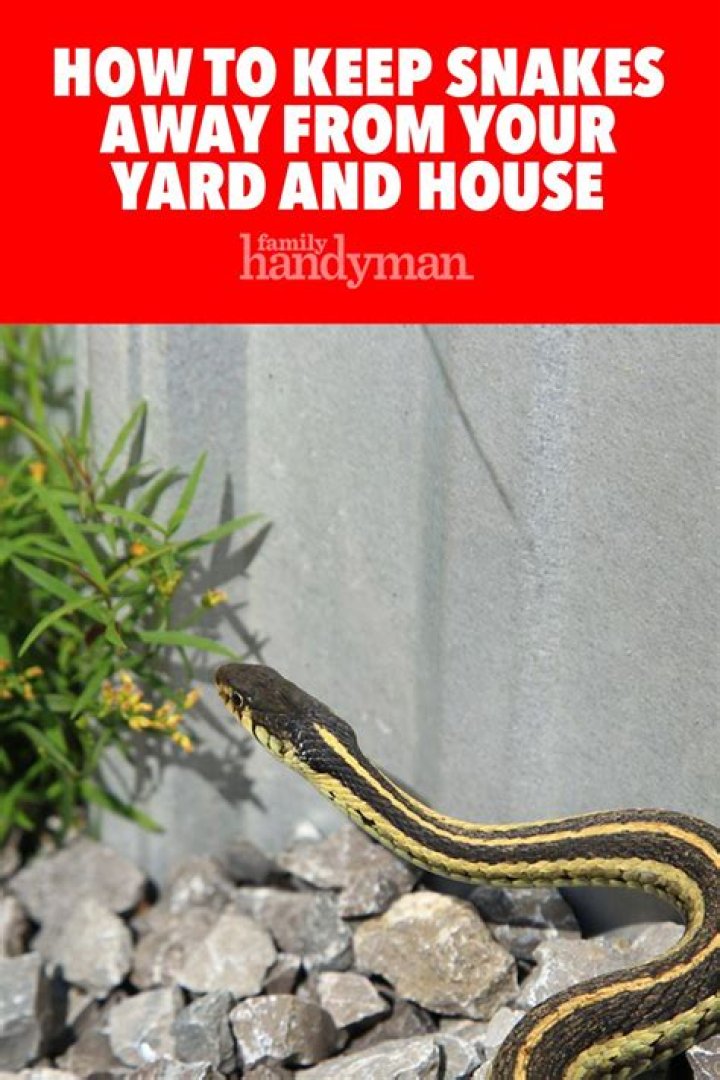 Does gravel keep snakes away