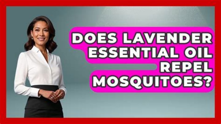 Does lavender essential oil repel mosquitoes