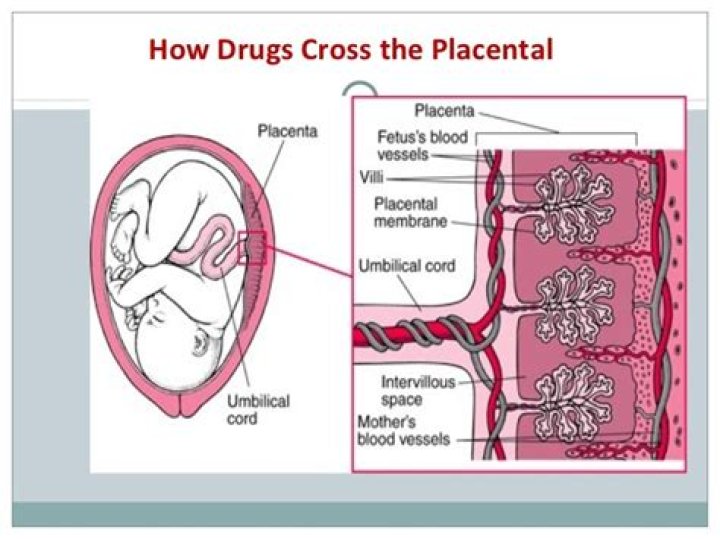 Does medication pass through placenta