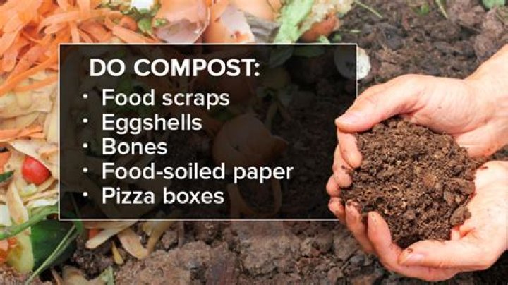 Does mushroom compost have mycorrhizae