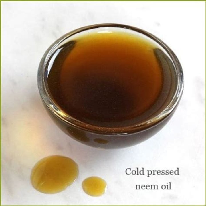 Does neem oil wash off with rain