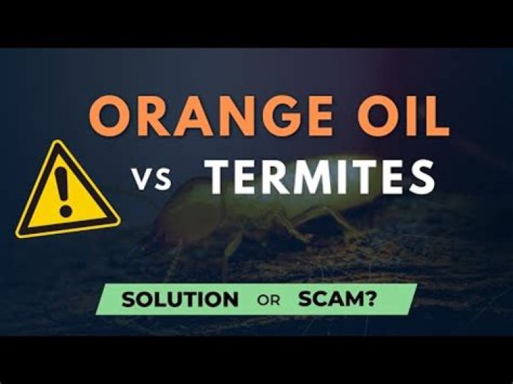 Does orange oil kill termites