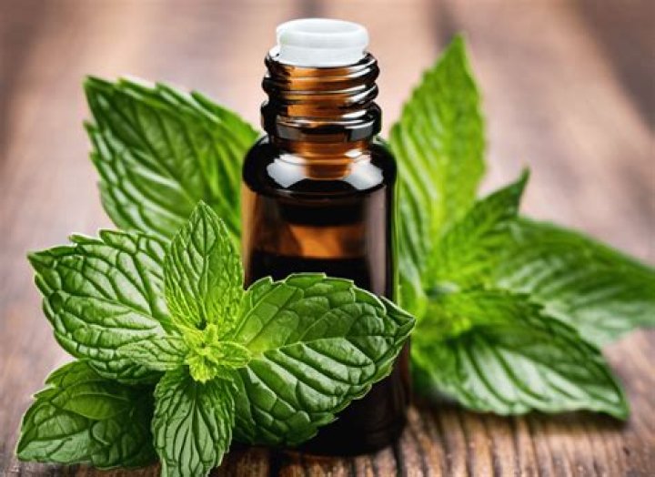 Does peppermint oil get rid of ticks