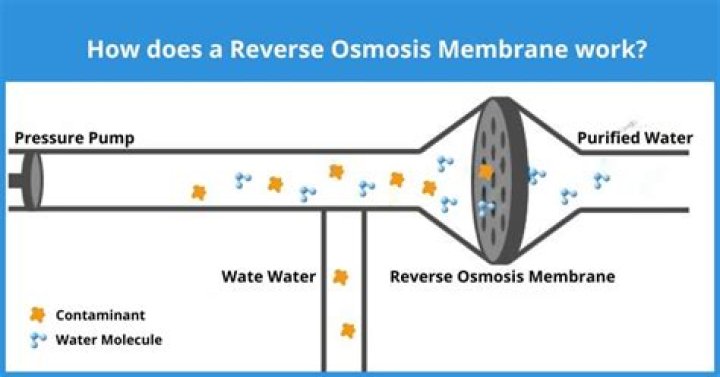 Does reverse osmosis remove phthalates