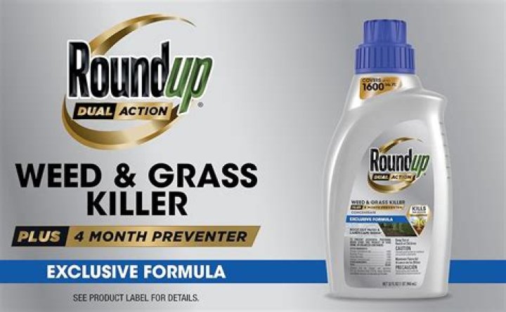 Does Roundup need to be diluted