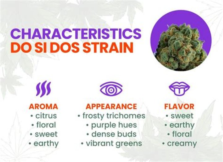 Does SI Do strain flowering time