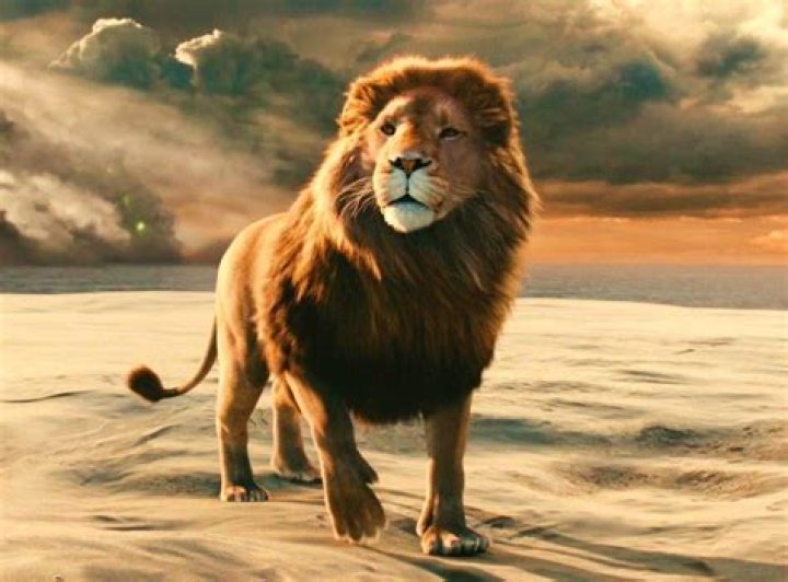 Does the lion die in Narnia