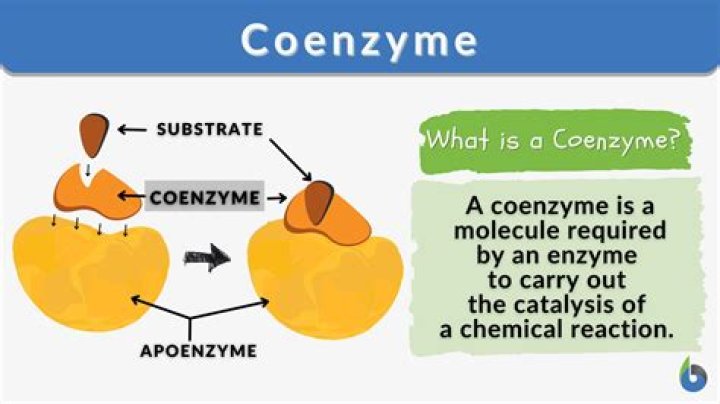 Does vitamin A have a coenzyme form