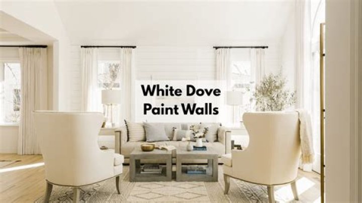 Does white dove paint look yellow