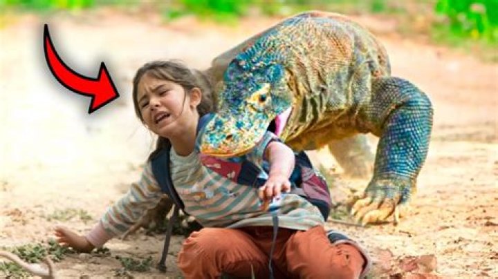 Has anyone been eaten by a Komodo dragon