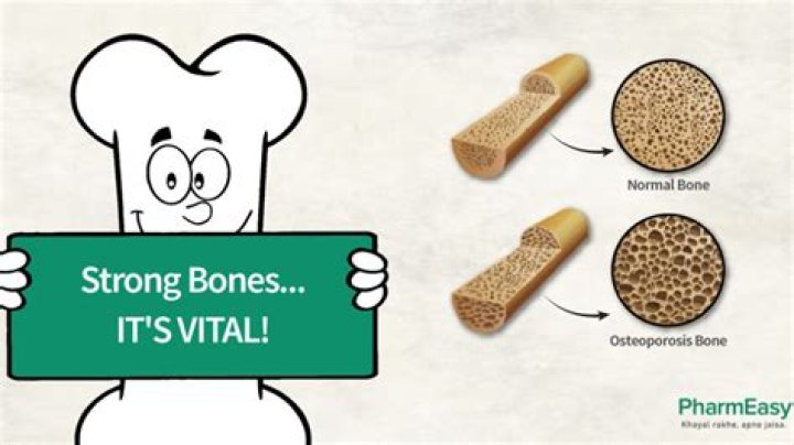 How are bones nourished and innervated