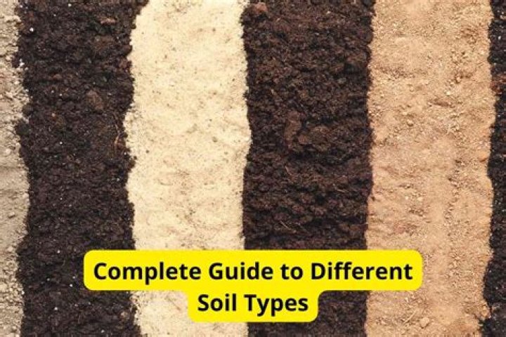 How are different types of soil formed