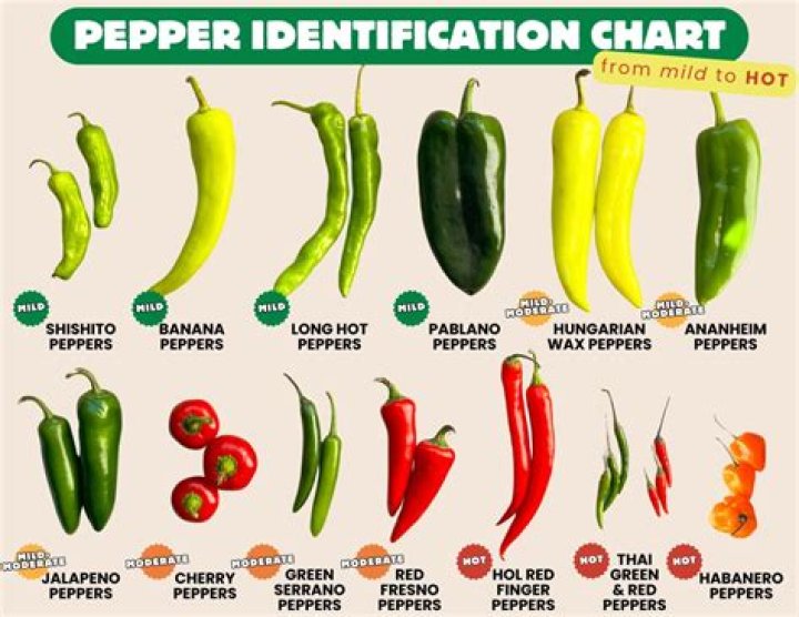 How are peppers made