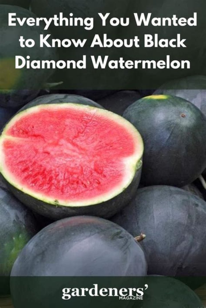 How big does a black diamond watermelon get