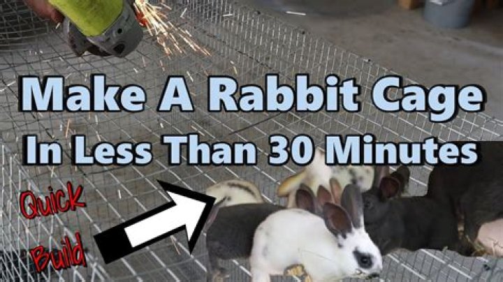 How can I make my rabbit cage more fun