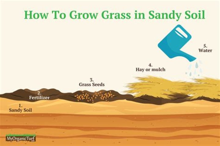 How can I make my sandy soil firmer