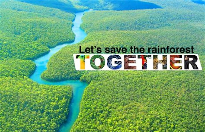 How can we protect the tropical rainforest