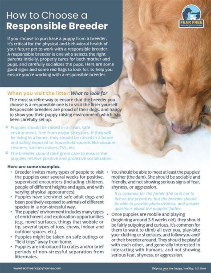 How can you tell a puppy mill from a breeder