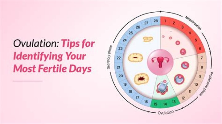 How can you tell if you are fertile