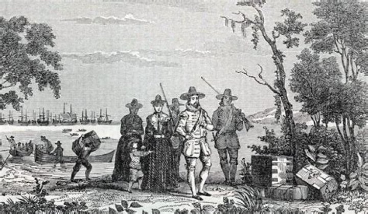 How did colonists remove stumps