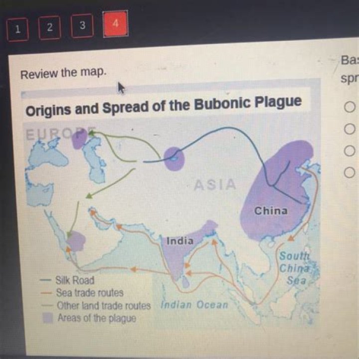 How did the bubonic plague spread along the Silk Road