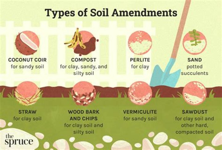 How do I amend my soil in Arizona