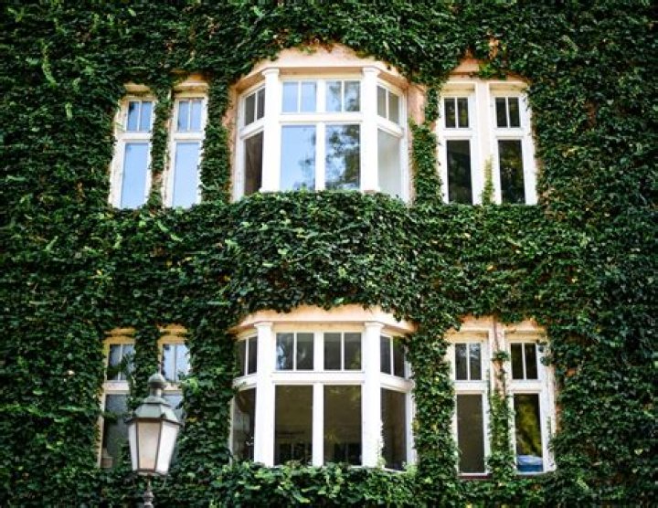 How do I dress a bay window