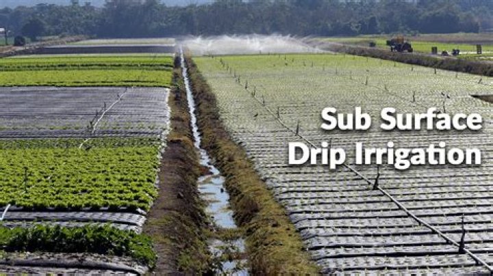 How do I find a buried irrigation line
