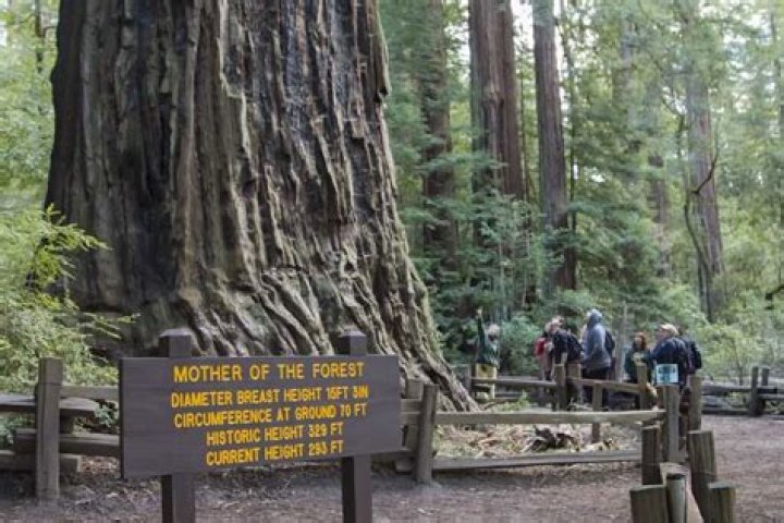 How do I get to Big Basin Redwoods State Park