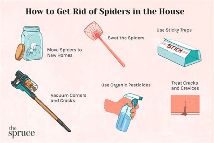 How do I keep spiders out of my gazebo