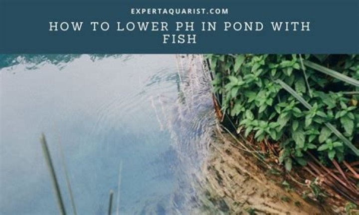 How do I lower pH in my fish pond