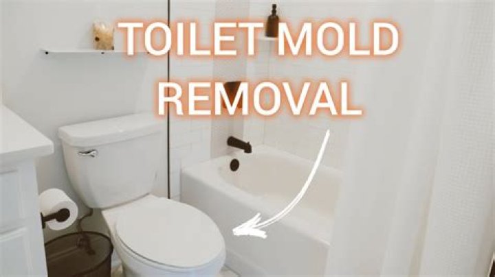 How do I stop mold growing in my toilet bowl