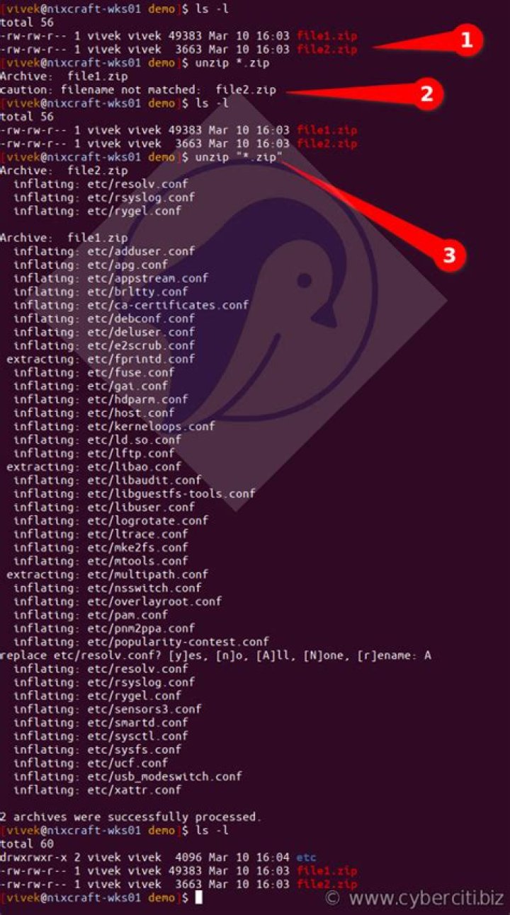 How do I unzip a zip file on Linux