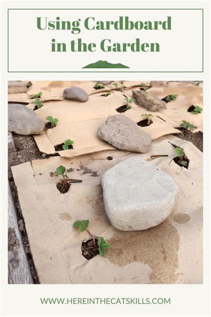 How do I use cardboard in my garden